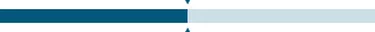 firmess progress bar