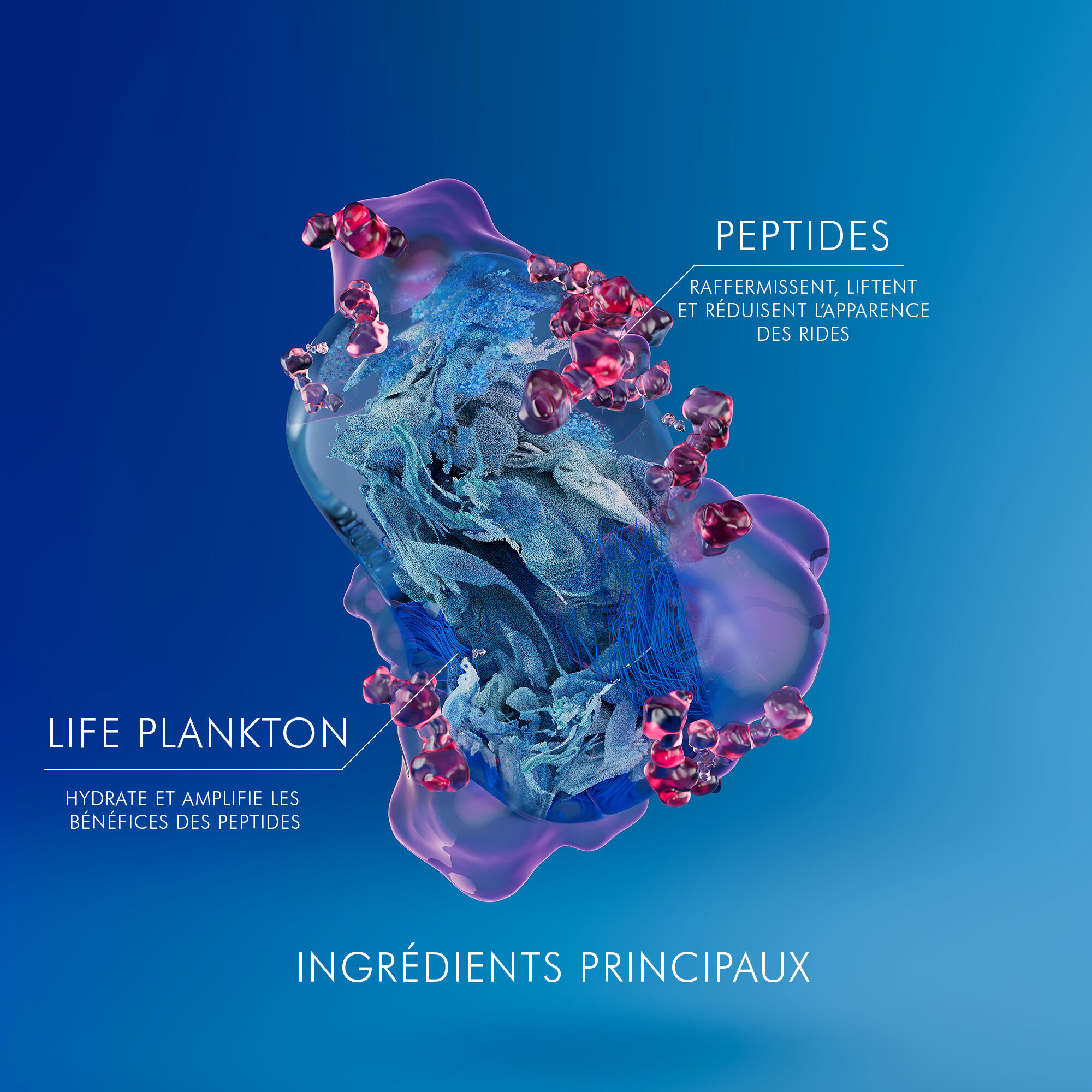 BLUE PEPTIDES UPLIFT CREME DE NUIT